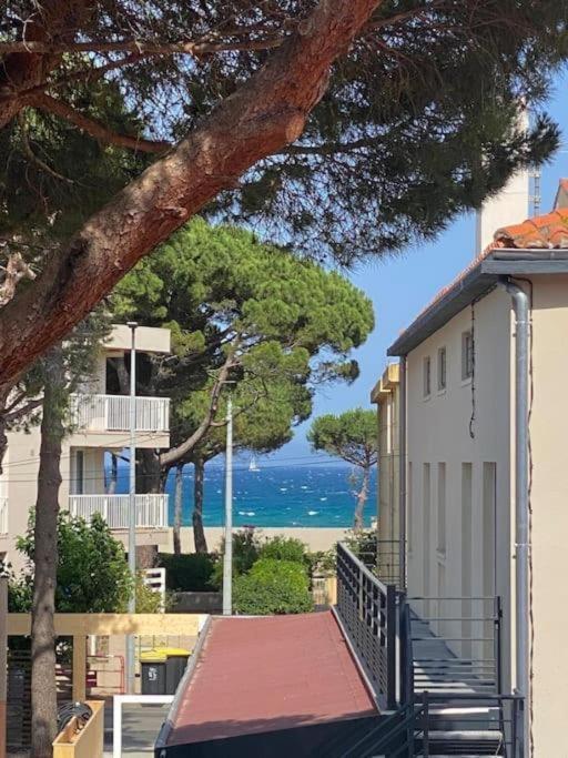 F3 Classe Meuble Tourisme "Gites De France" A 80 Metres De La Plage Argeles-sur-Mer Bagian luar foto